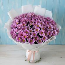 Букет цветов из:  Хризантемы #REPLACE_PRED# Тугулыме