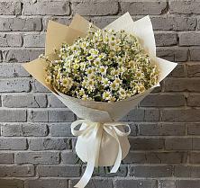 Букет цветов из:  Ромашки #REPLACE_PRED# Тугулыме